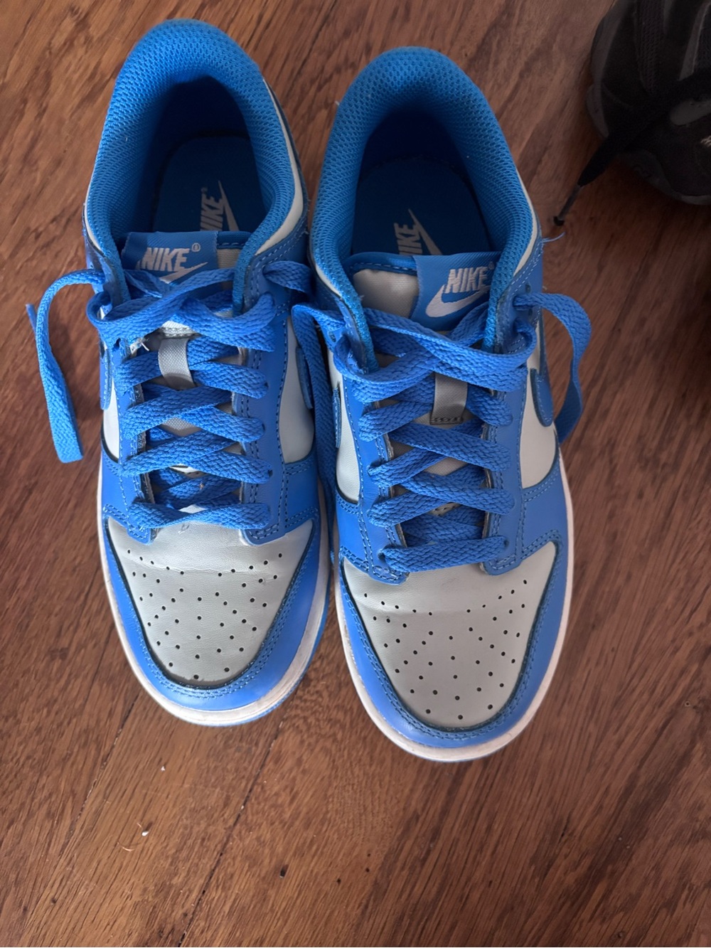 Nike Kids' Dunk Blue and Gray Low-Top Sneakers